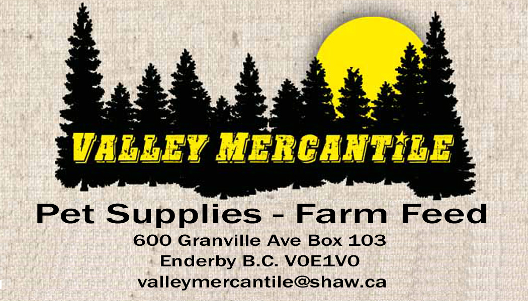 Valley Mercantile